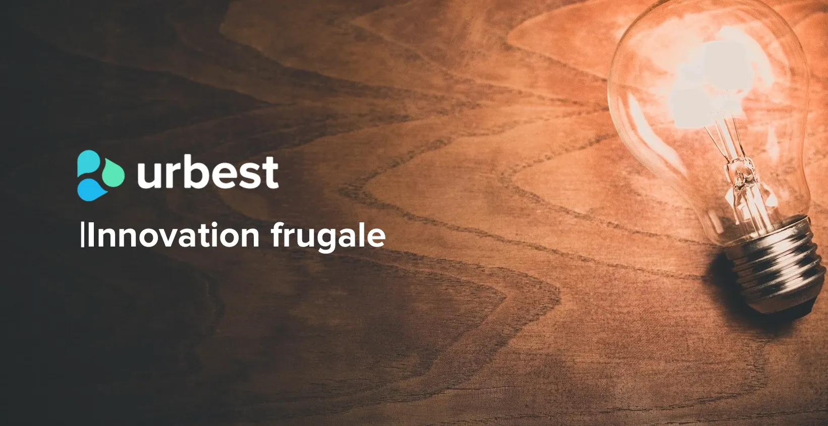 Innovation frugale